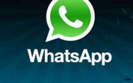 Whatsapp Chiamate Vocali - Studioweb22.com